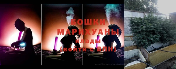 молекула духа Балахна