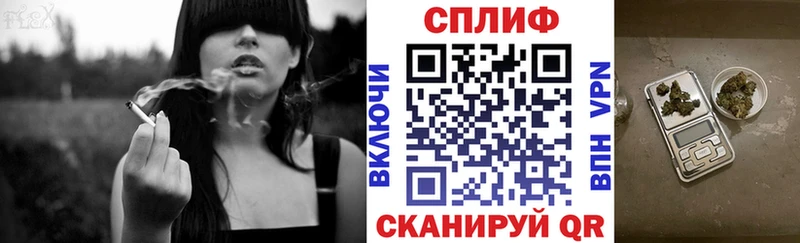 дарнет шоп  Севск  Канабис планчик 